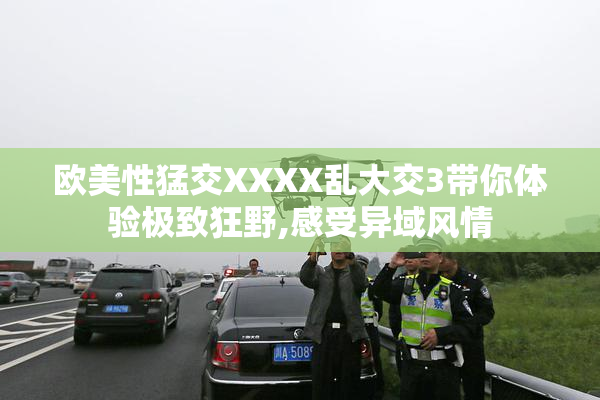 欧美性猛交XXXX乱大交3带你体验极致狂野,感受异域风情