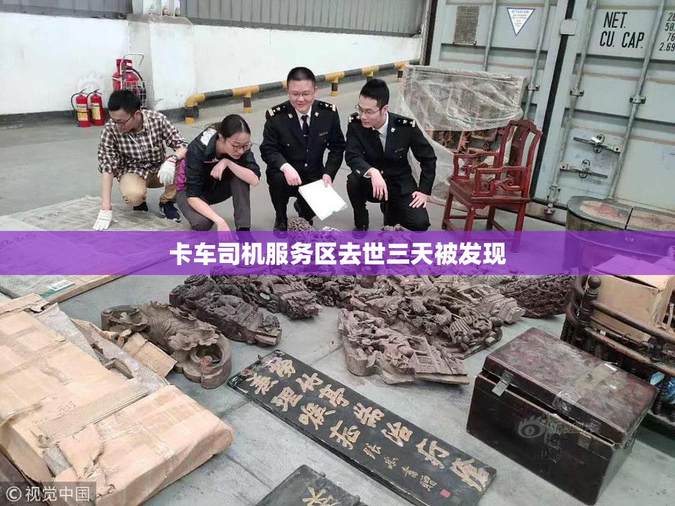 卡车司机服务区去世三天被发现