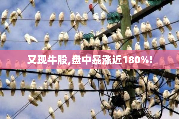 又现牛股,盘中暴涨近180%!