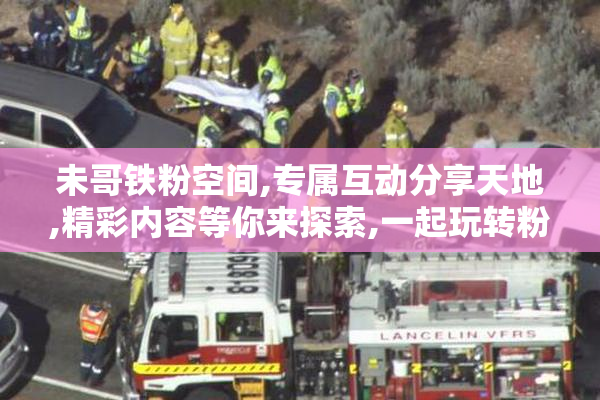 未哥铁粉空间,专属互动分享天地,精彩内容等你来探索,一起玩转粉丝圈