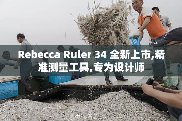 Rebecca Ruler 34 全新上市,精准测量工具,专为设计师