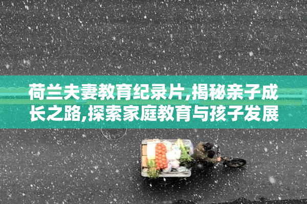 荷兰夫妻教育纪录片,揭秘亲子成长之路,探索家庭教育与孩子发展的