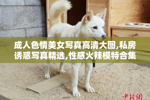 成人色情美女写真高清大图,私房诱惑写真精选,性感火辣模特合集