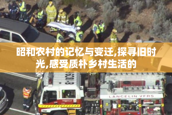 昭和农村的记忆与变迁,探寻旧时光,感受质朴乡村生活的