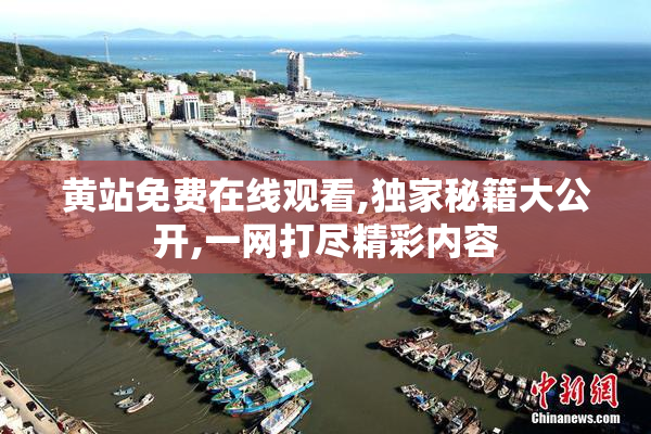 黄站免费在线观看,独家秘籍大公开,一网打尽精彩内容