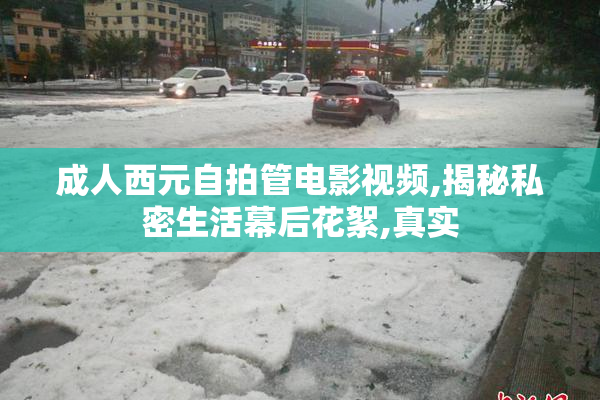 成人西元自拍管电影视频,揭秘私密生活幕后花絮,真实