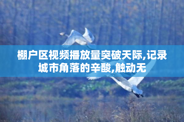 棚户区视频播放量突破天际,记录城市角落的辛酸,触动无