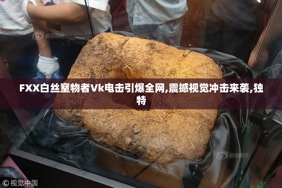 FXX白丝窒物者Vk电击引爆全网,震撼视觉冲击来袭,独特