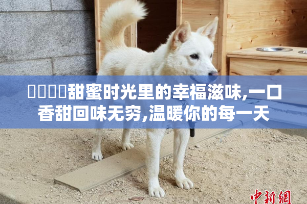 馃敒馃尭甜蜜时光里的幸福滋味,一口香甜回味无穷,温暖你的每一天