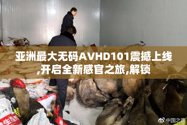 亚洲最大无码AVHD101震撼上线,开启全新感官之旅,解锁