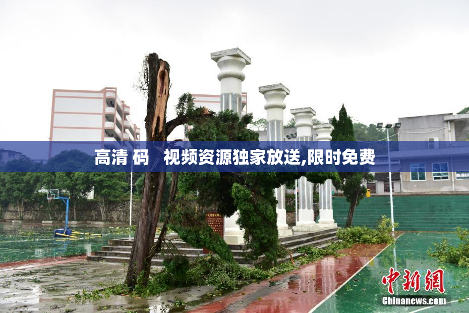 高清 码   视频资源独家放送,限时免费