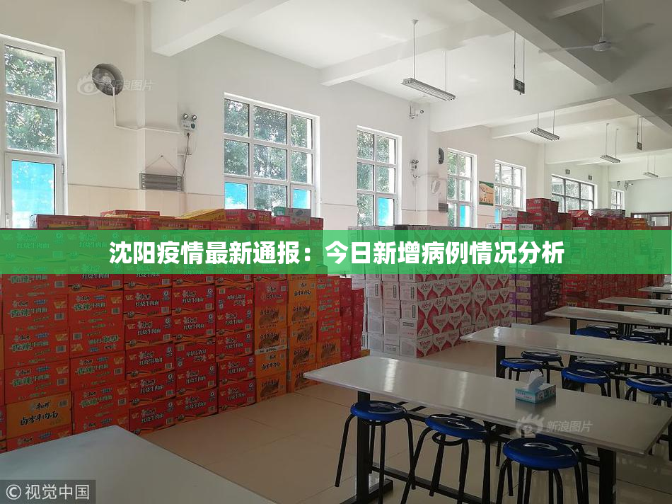 沈阳疫情最新通报：今日新增病例情况分析