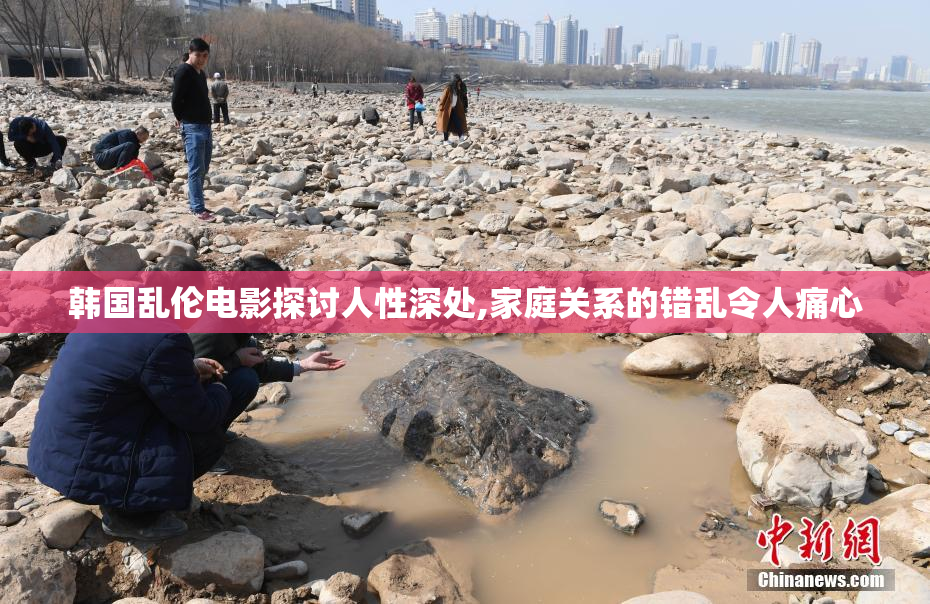韩国乱伦电影探讨人性深处,家庭关系的错乱令人痛心