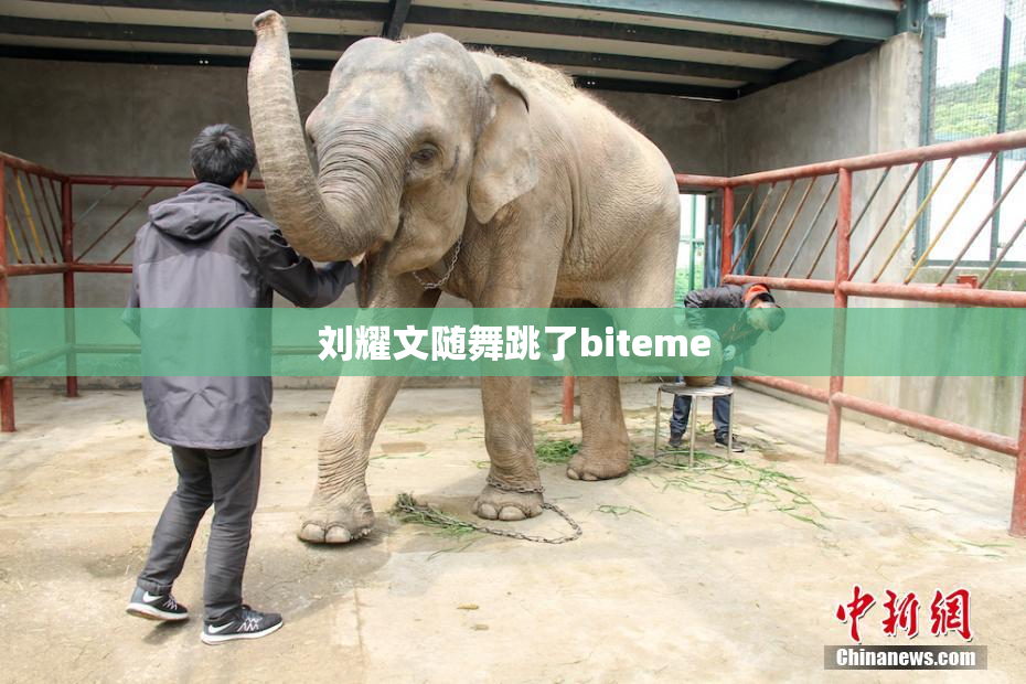 刘耀文随舞跳了biteme