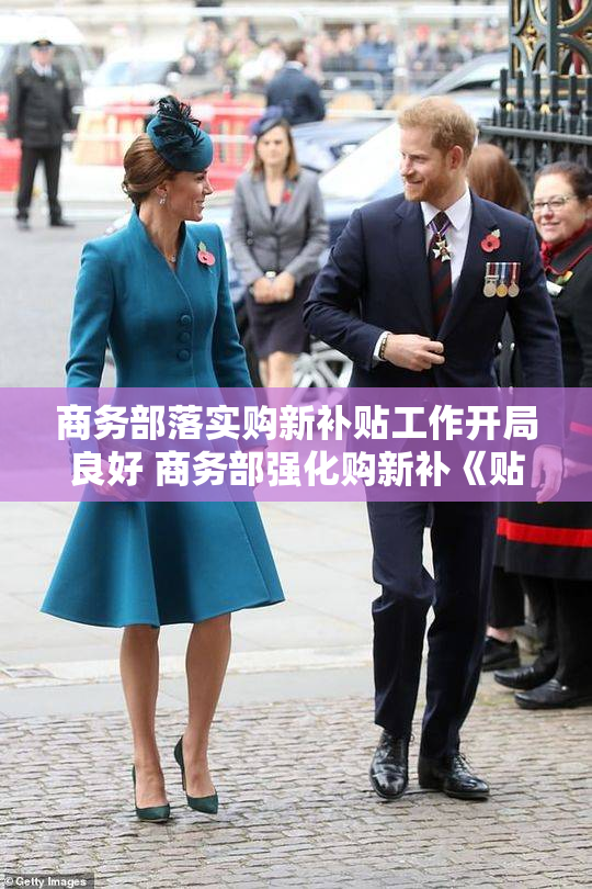商务部落实购新补贴工作开局良好 商务部强化购新补《贴资金风》险