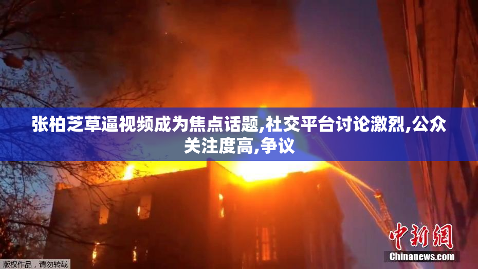 张柏芝草逼视频成为焦点话题,社交平台讨论激烈,公众关注度高,争议