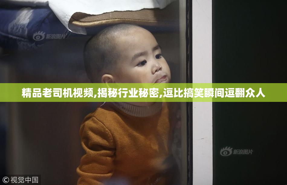 精品老司机视频,揭秘行业秘密,逗比搞笑瞬间逗翻众人