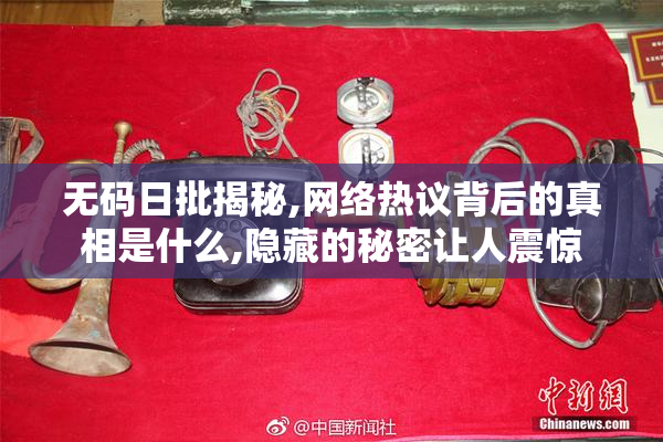 无码日批揭秘,网络热议背后的真相是什么,隐藏的秘密让人震惊
