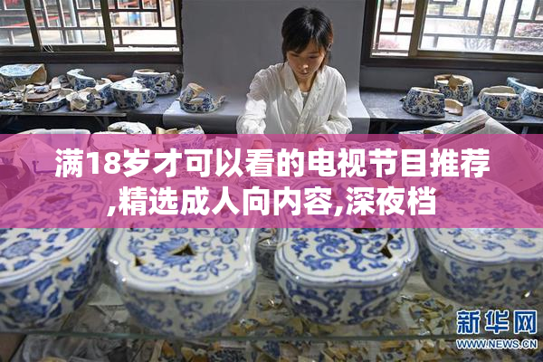 满18岁才可以看的电视节目推荐,精选成人向内容,深夜档