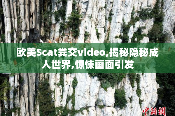 欧美Scat粪交video,揭秘隐秘成人世界,惊悚画面引发