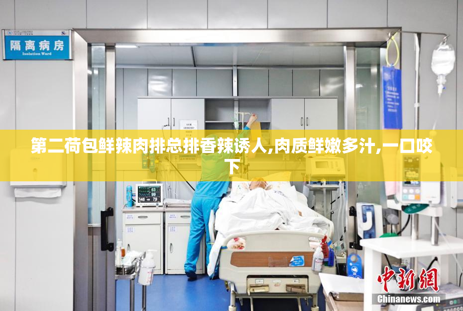 第二荷包鲜辣肉排总排香辣诱人,肉质鲜嫩多汁,一口咬下
