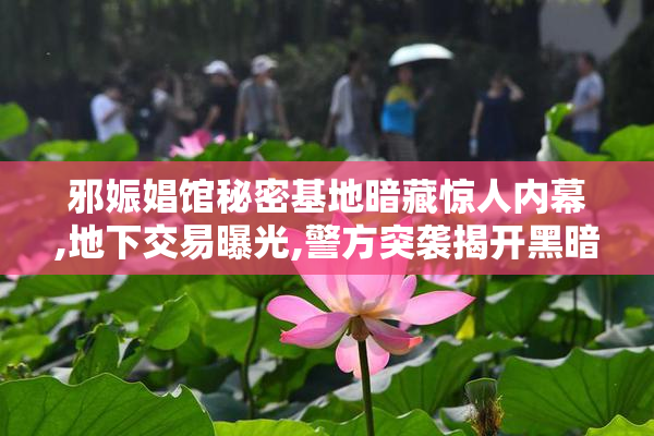 邪娠娼馆秘密基地暗藏惊人内幕,地下交易曝光,警方突袭揭开黑暗真相