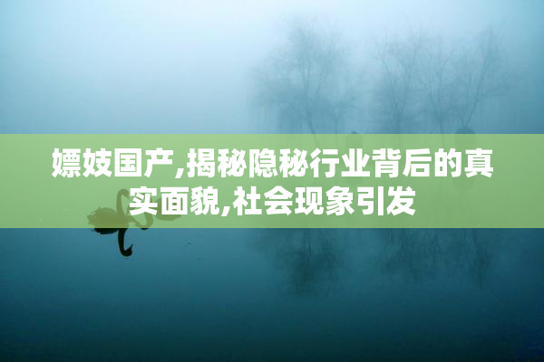 嫖妓国产,揭秘隐秘行业背后的真实面貌,社会现象引发