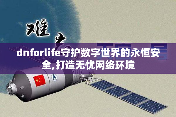 dnforlife守护数字世界的永恒安全,打造无忧网络环境