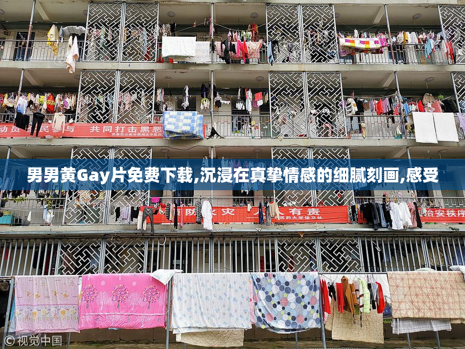 男男黄Gay片免费下载,沉浸在真挚情感的细腻刻画,感受