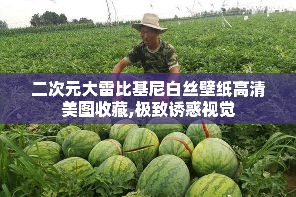 二次元大雷比基尼白丝壁纸高清美图收藏,极致诱惑视觉
