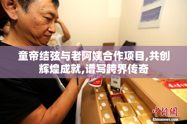 童帝结弦与老阿姨合作项目,共创辉煌成就,谱写跨界传奇