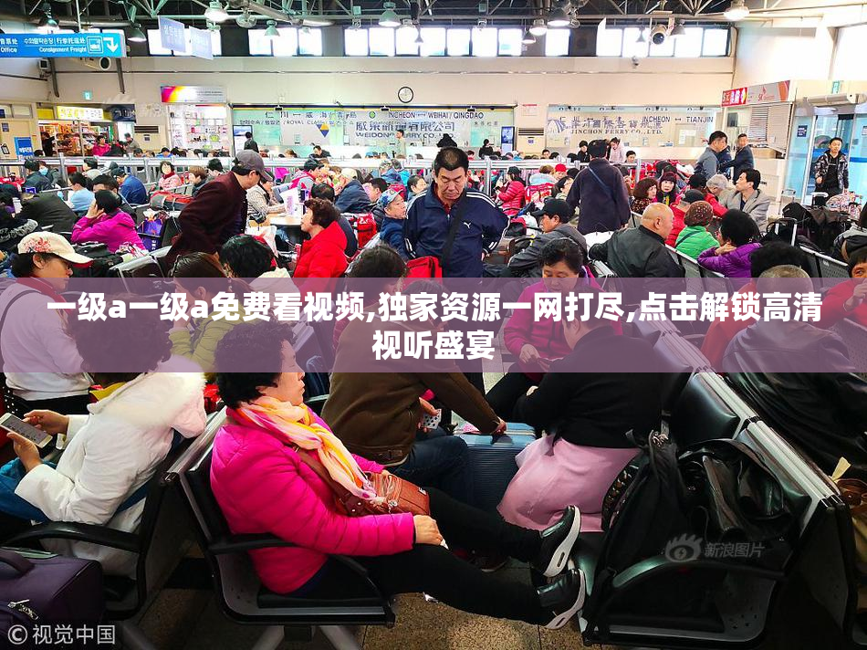 一级a一级a免费看视频,独家资源一网打尽,点击解锁高清视听盛宴