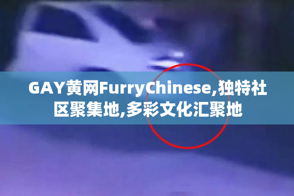 GAY黄网FurryChinese,独特社区聚集地,多彩文化汇聚地