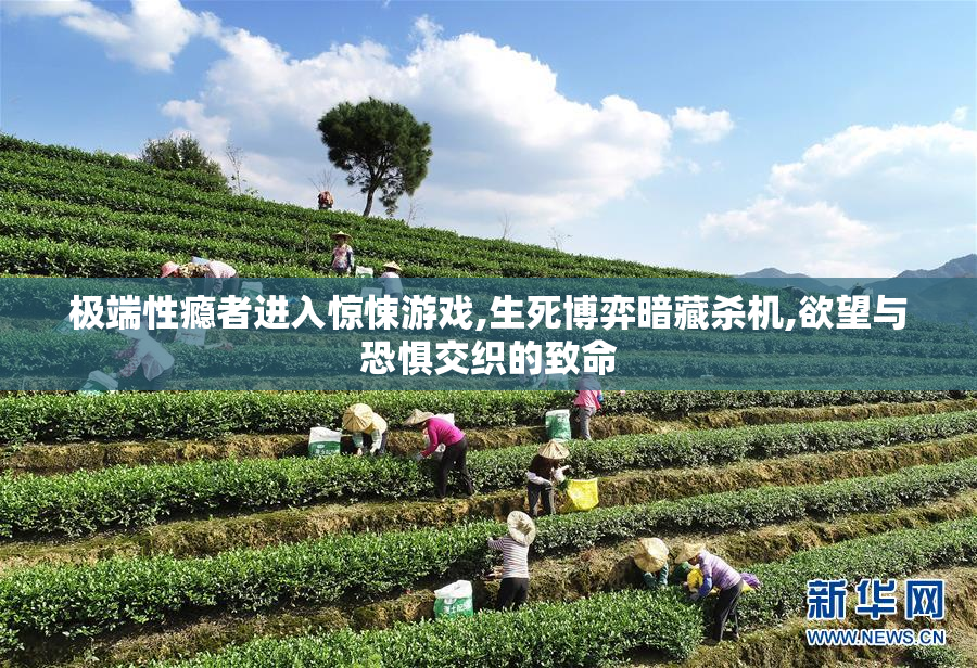 极端性瘾者进入惊悚游戏,生死博弈暗藏杀机,欲望与恐惧交织的致命