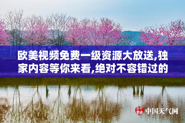 欧美视频免费一级资源大放送,独家内容等你来看,绝对不容错过的