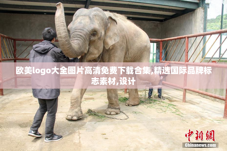 欧美logo大全图片高清免费下载合集,精选国际品牌标志素材,设计