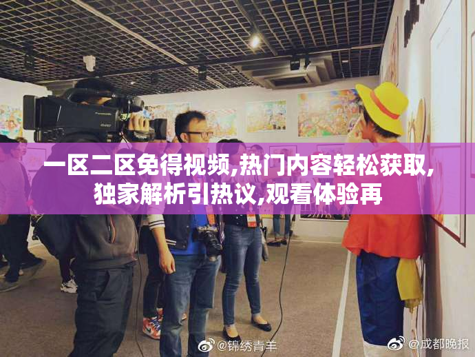一区二区免得视频,热门内容轻松获取,独家解析引热议,观看体验再