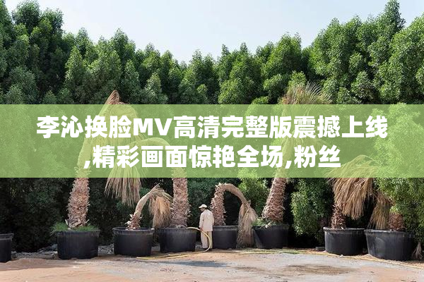 李沁换脸MV高清完整版震撼上线,精彩画面惊艳全场,粉丝