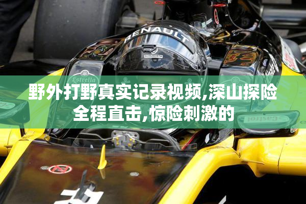 野外打野真实记录视频,深山探险全程直击,惊险刺激的
