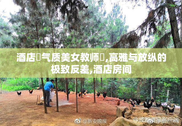 酒店肏气质美女教师屄,高雅与放纵的极致反差,酒店房间