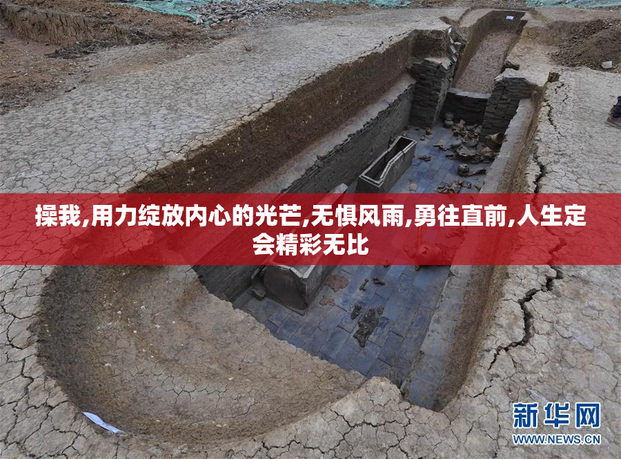 操我,用力绽放内心的光芒,无惧风雨,勇往直前,人生定会精彩无比