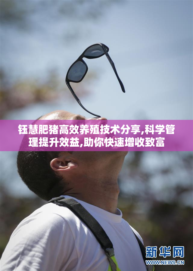 钰慧肥猪高效养殖技术分享,科学管理提升效益,助你快速增收致富