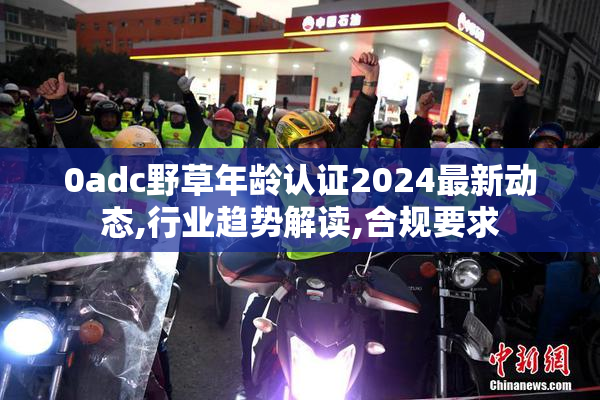 0adc野草年龄认证2024最新动态,行业趋势解读,合规要求
