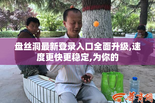 盘丝洞最新登录入口全面升级,速度更快更稳定,为你的