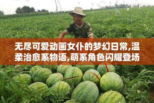 无尽可爱动画女仆的梦幻日常,温柔治愈系物语,萌系角色闪耀登场