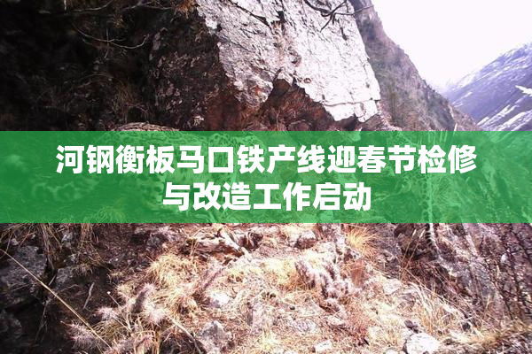 河钢衡板马口铁产线迎春节检修与改造工作启动