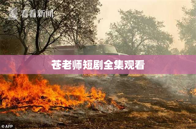 苍老师短剧全集观看