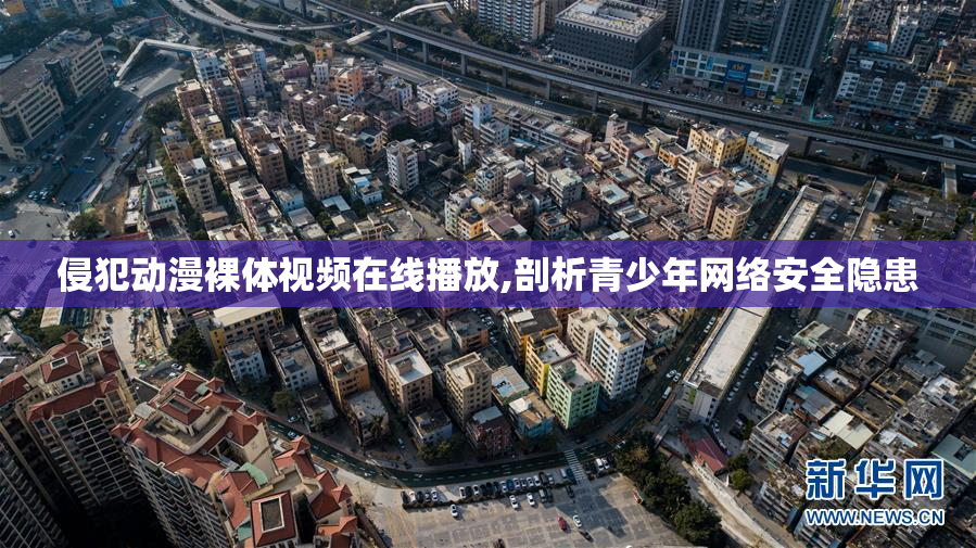 侵犯动漫裸体视频在线播放,剖析青少年网络安全隐患