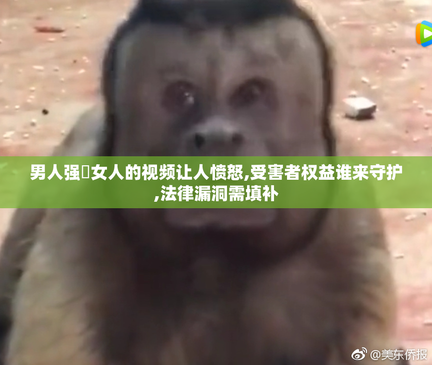 男人强弙女人的视频让人愤怒,受害者权益谁来守护,法律漏洞需填补