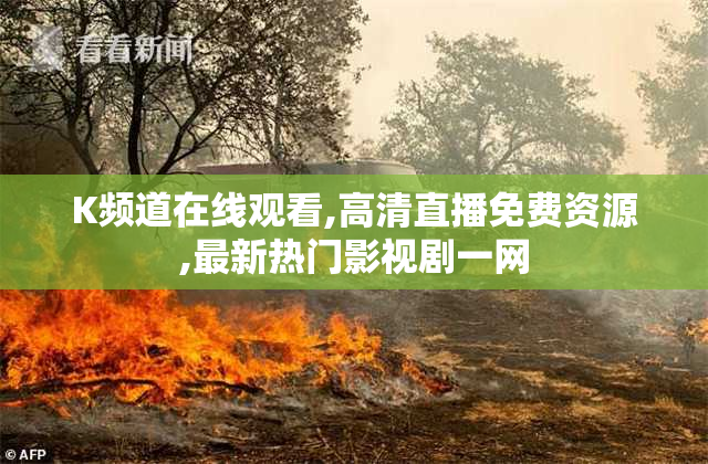 K频道在线观看,高清直播免费资源,最新热门影视剧一网